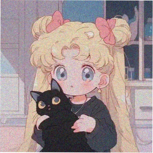 主编头像